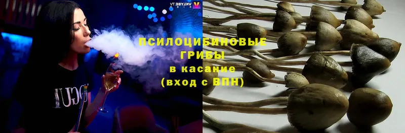 Псилоцибиновые грибы ЛСД  сколько стоит  Пятигорск 